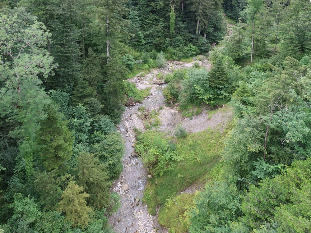 Blick von der Hängebrücke