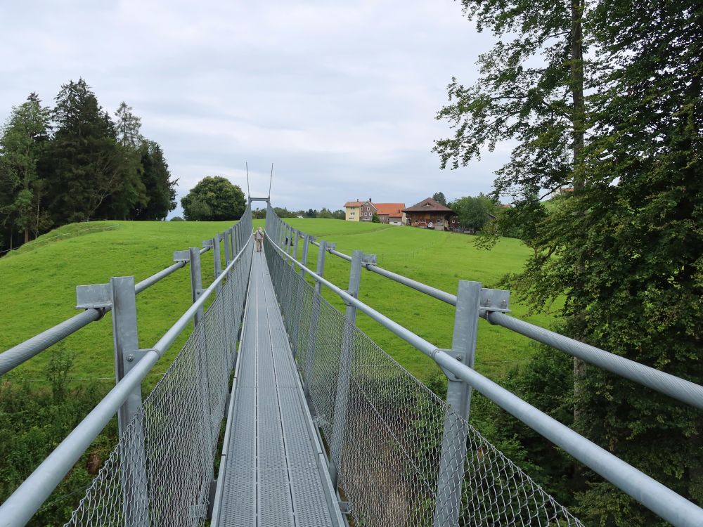 Hängebrücke