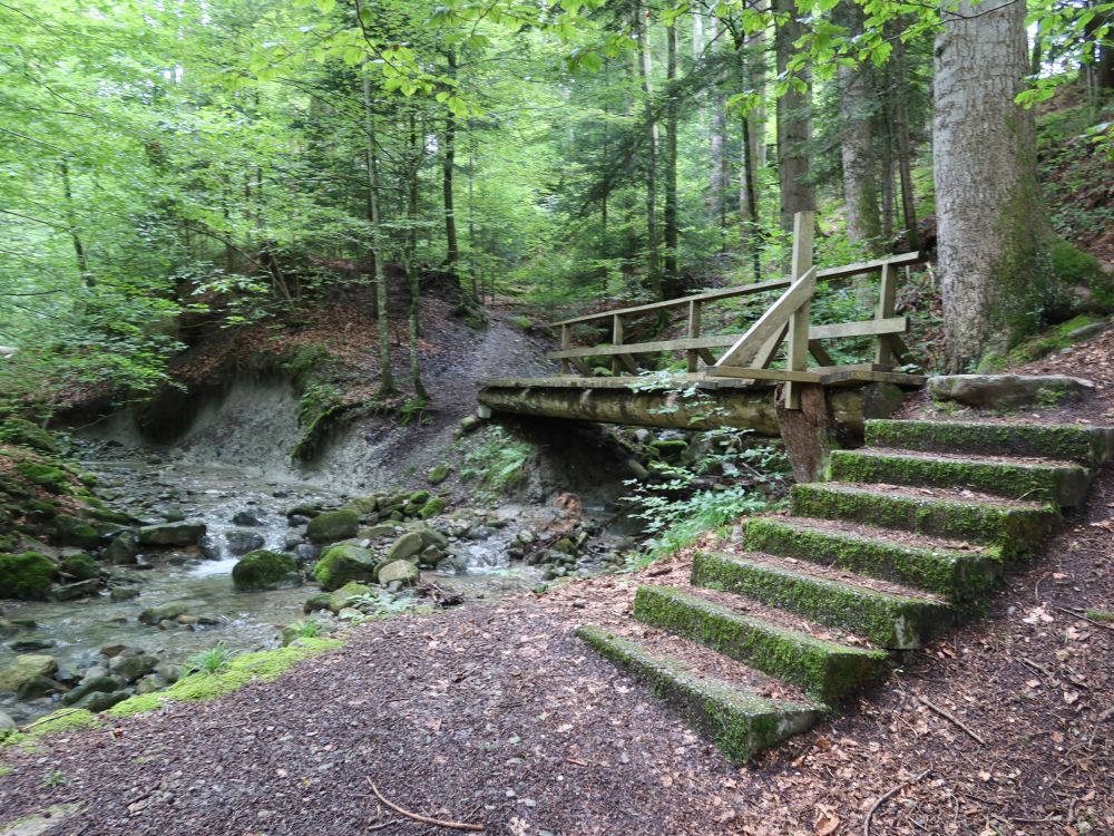 Treppe und Holzsteg