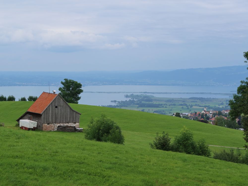 Scheune und Rheindelta