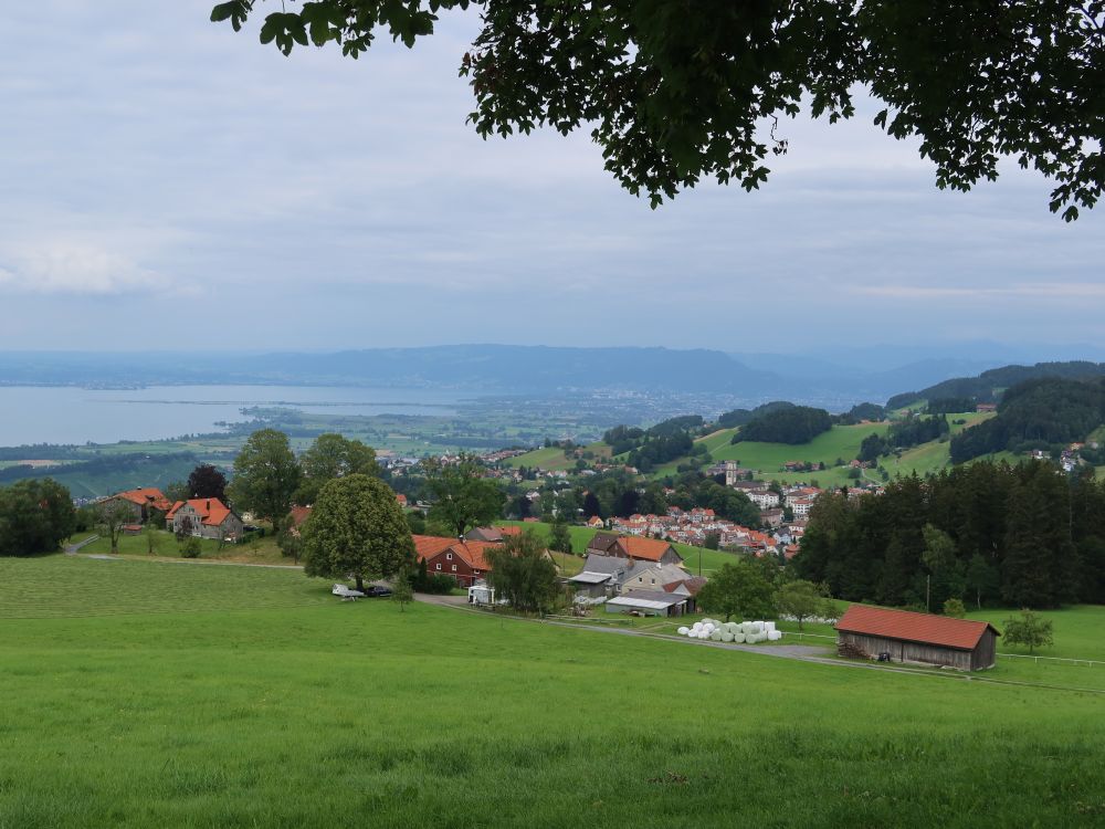 Heiden und Rheindelta