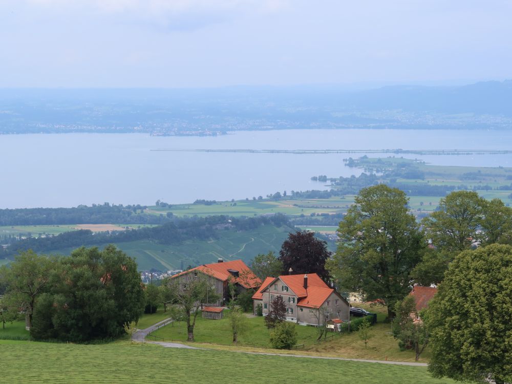 Bodensee mit Rheindelta