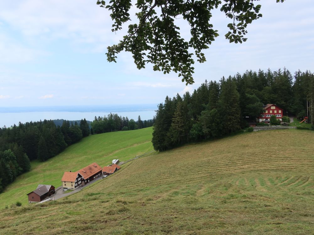 Bodensee und Naturfeundehaus am Waldrand