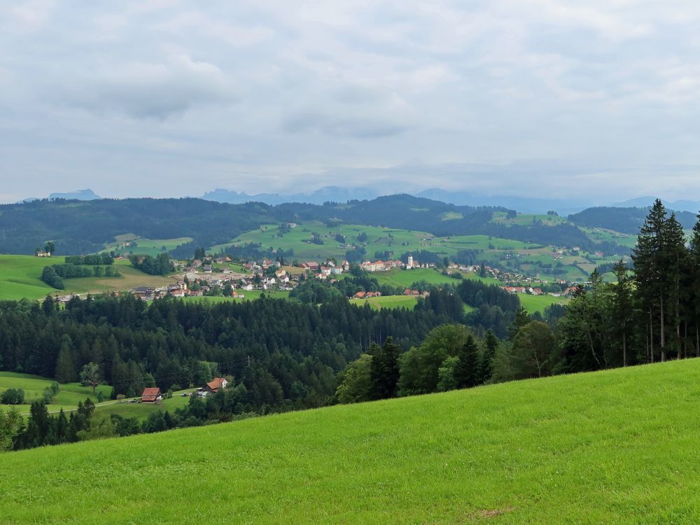 Blick Richtung Wald