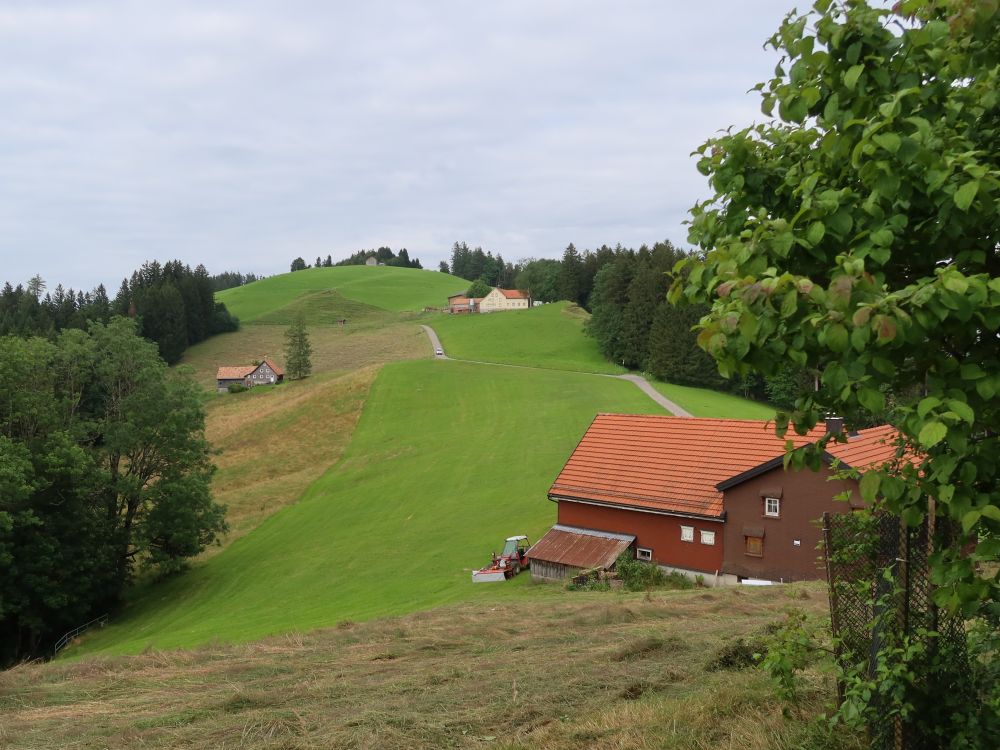 Blick Richtung Kaienspitz