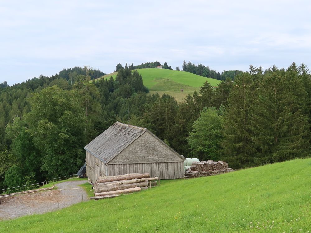 Blick Richtung Kaienspitz