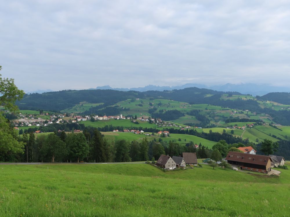 Blick Richtung Wald