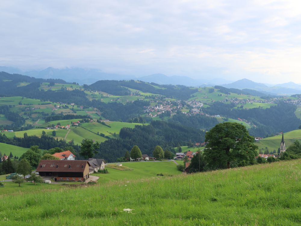 Blick Richtung Heiden