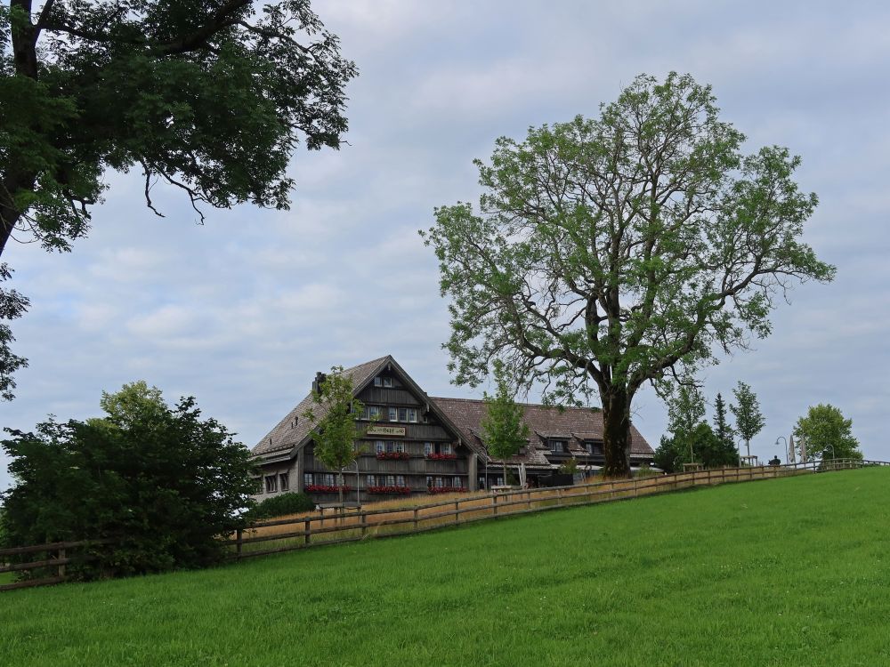 Gasthaus zum Gupf