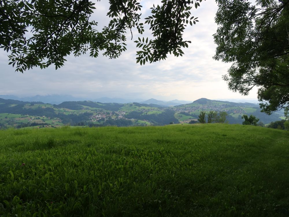 Blick Richtung Heiden