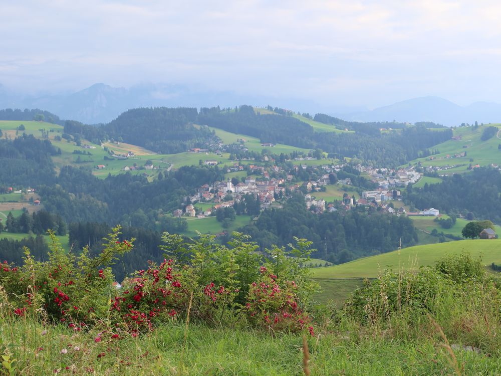 Blick Richtung Heiden