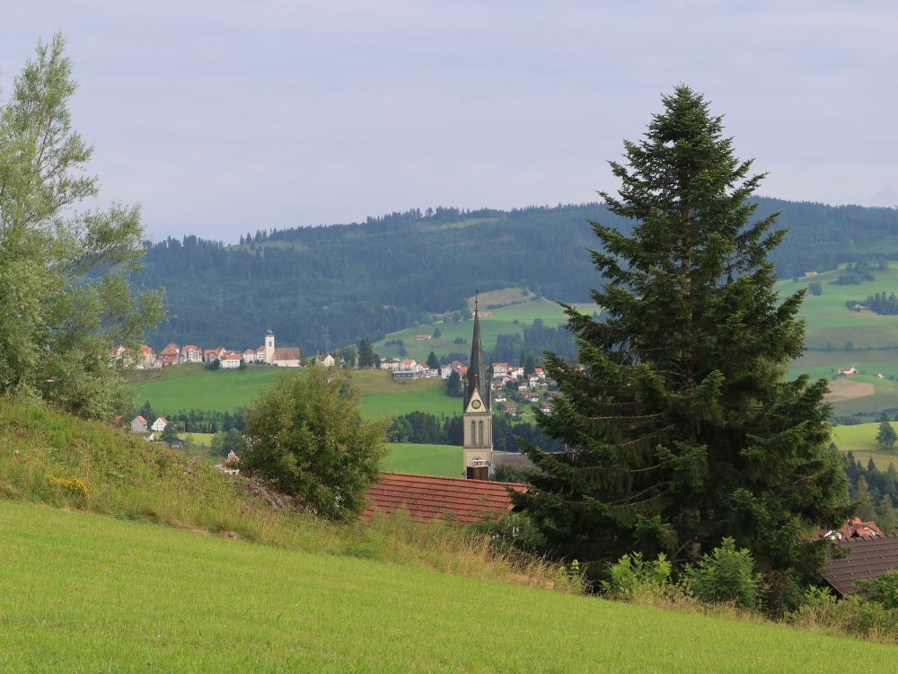 Kirche Rehetobel und Wald im Hintergrund