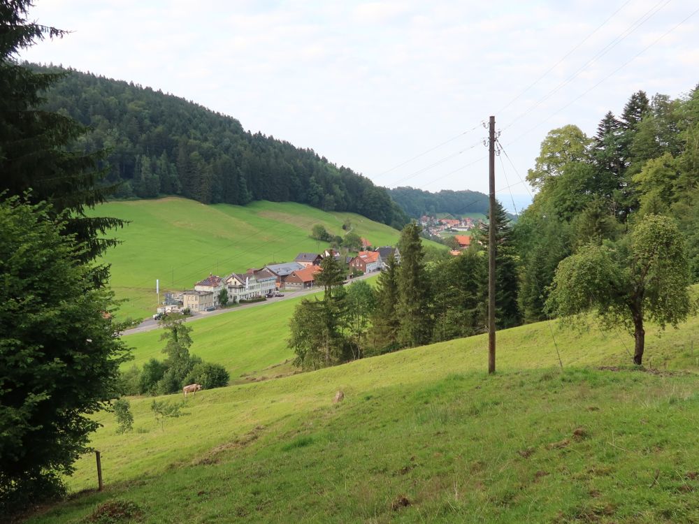 Blick zum Hotel Bären