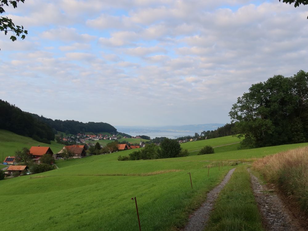 Blick Richtung Bodensee