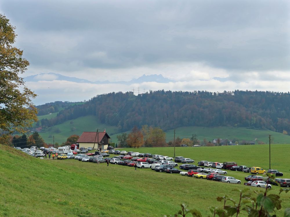 Parken auf der Wiese