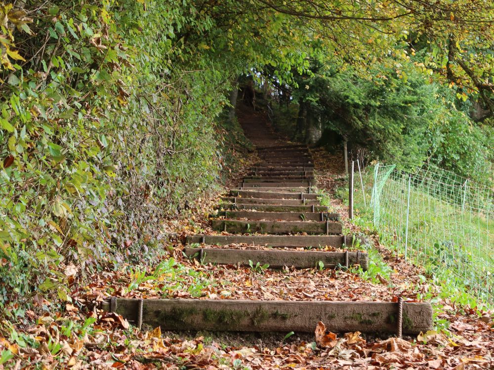 Treppe