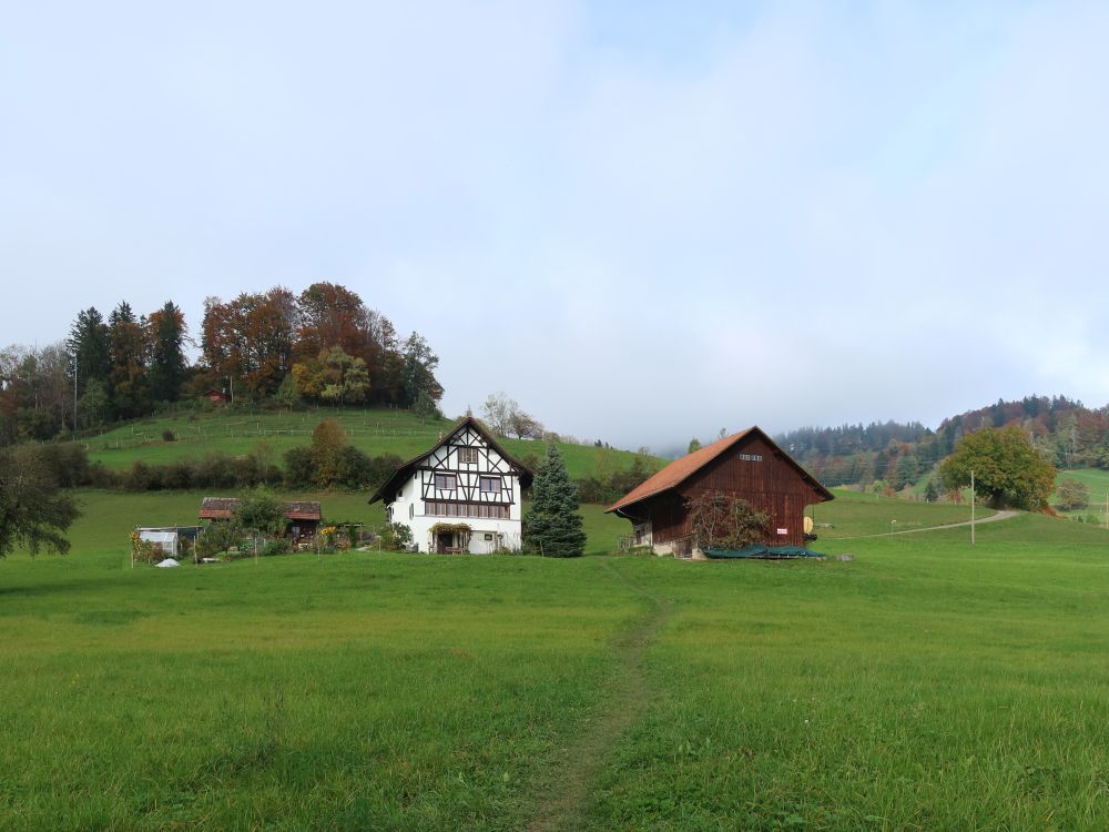 Wiesenpfad bei Ämet