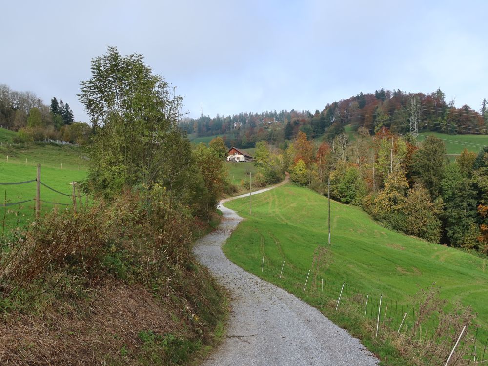 Weg nach Niderorn