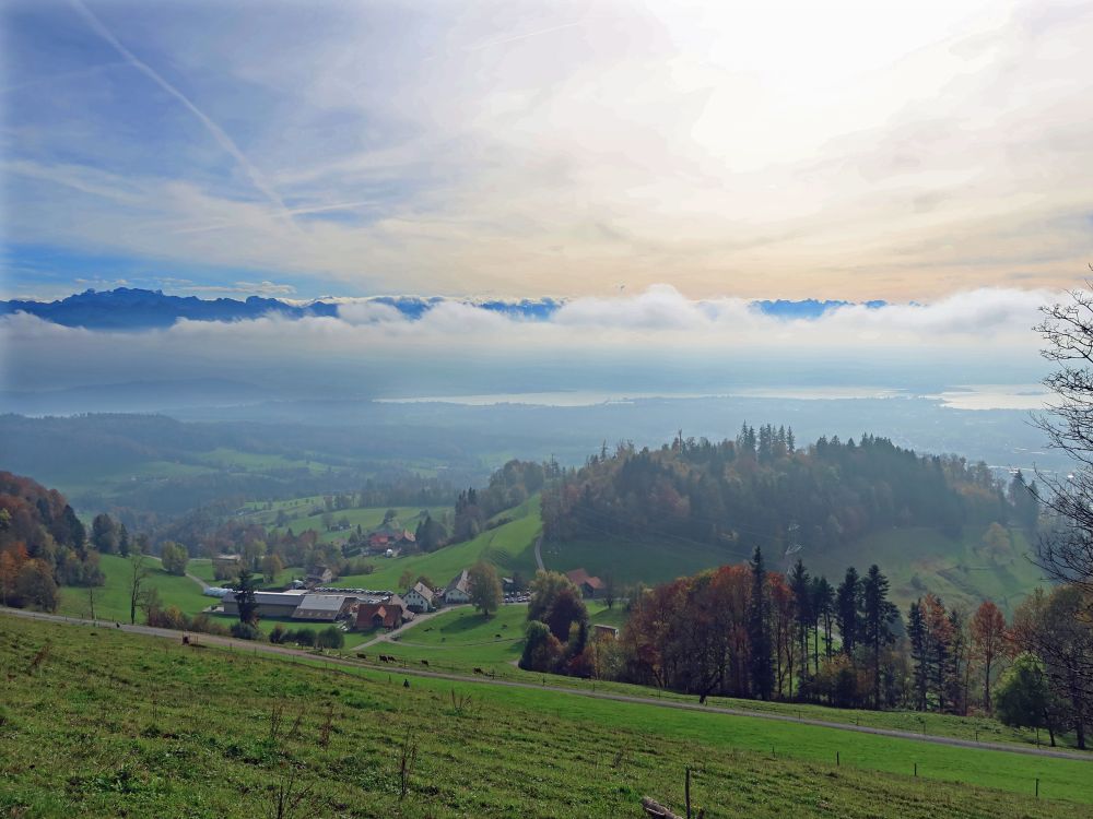 Orn und Berge überm Nebel