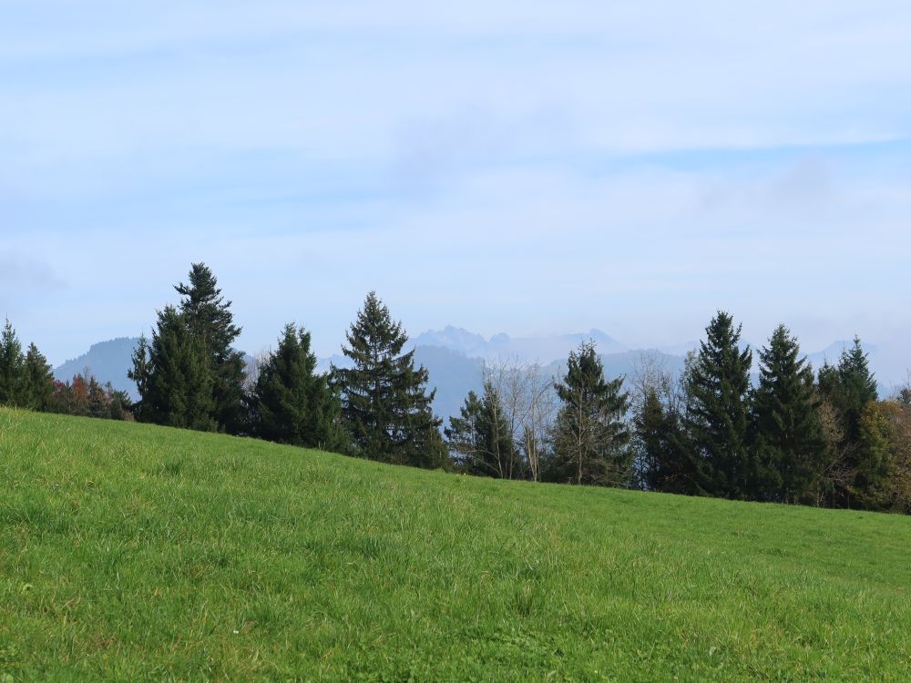 Säntis und Lütispitz