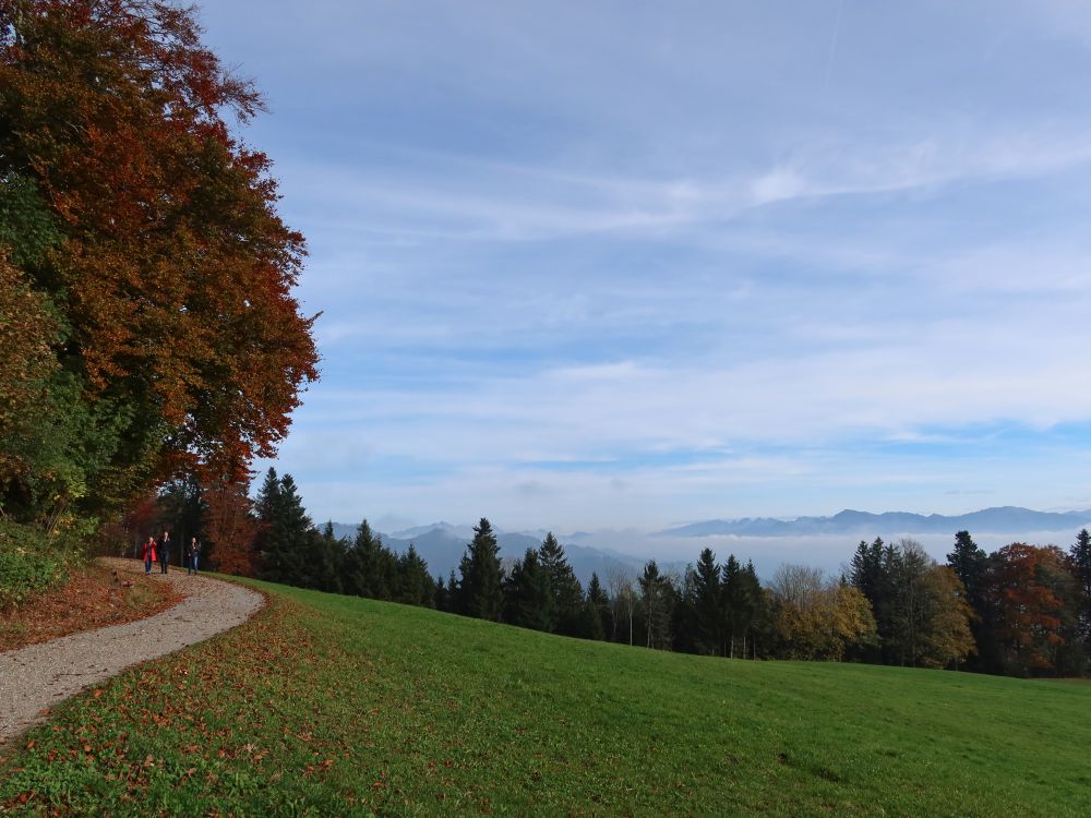 Weg am Waldrand bei Farnrain