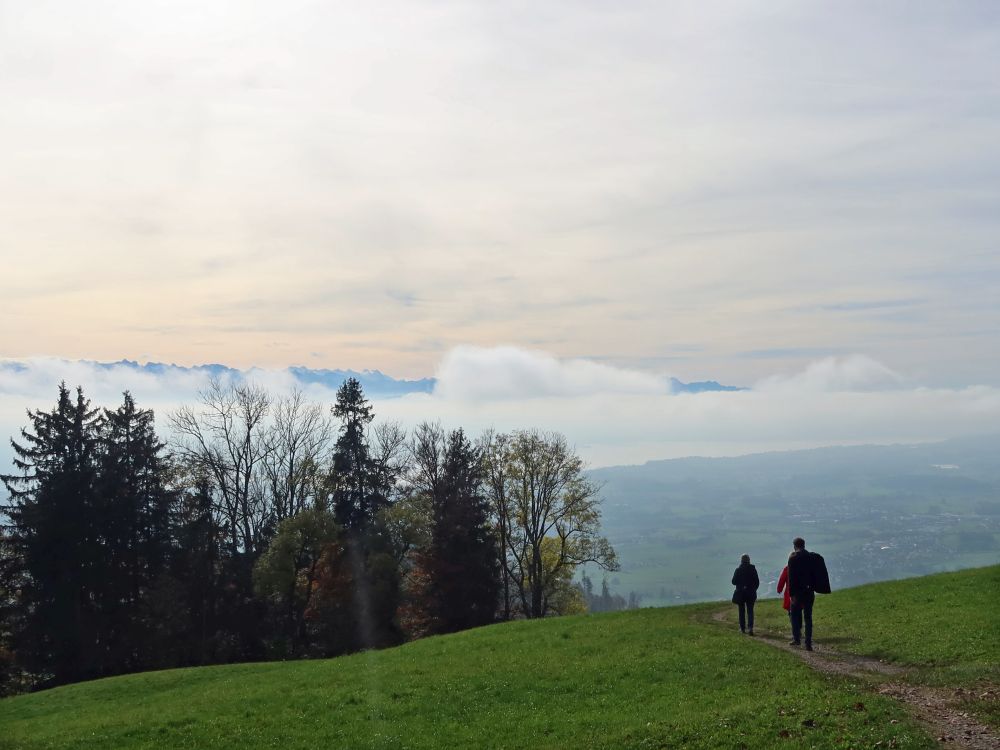 Pfad bei Farnrain