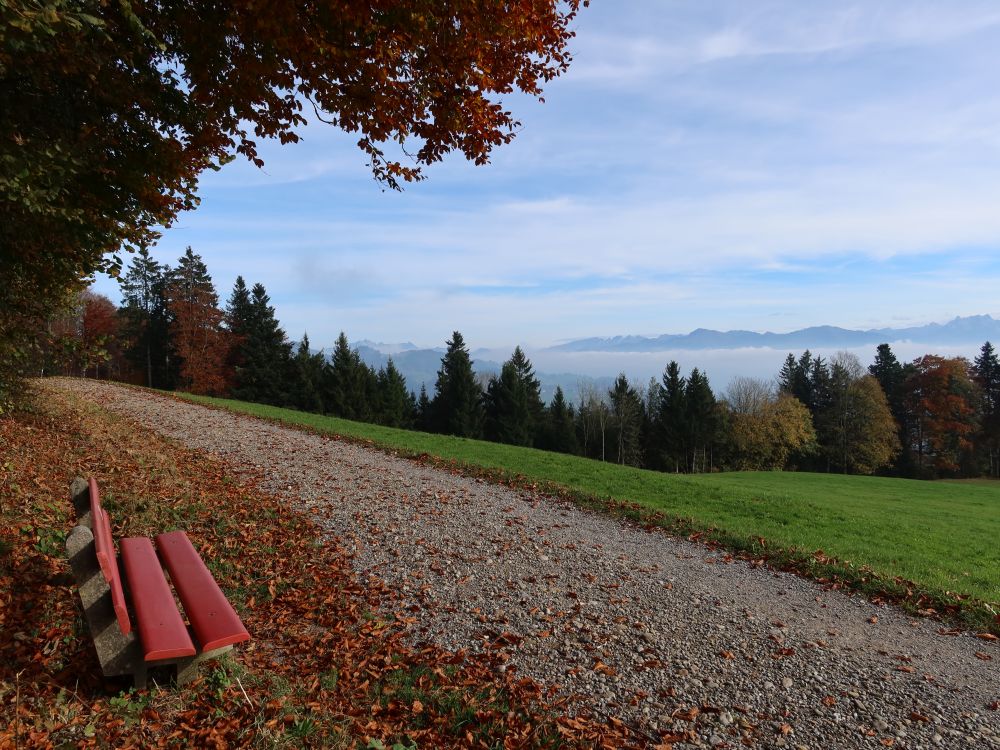 Sitzbank bei Farnrain