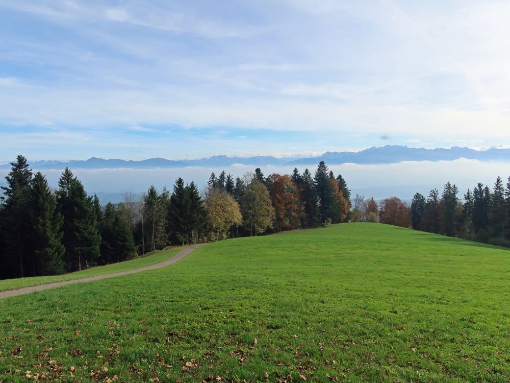 Churfirsten, Mürtschenstock, Glärnisch, u.a.