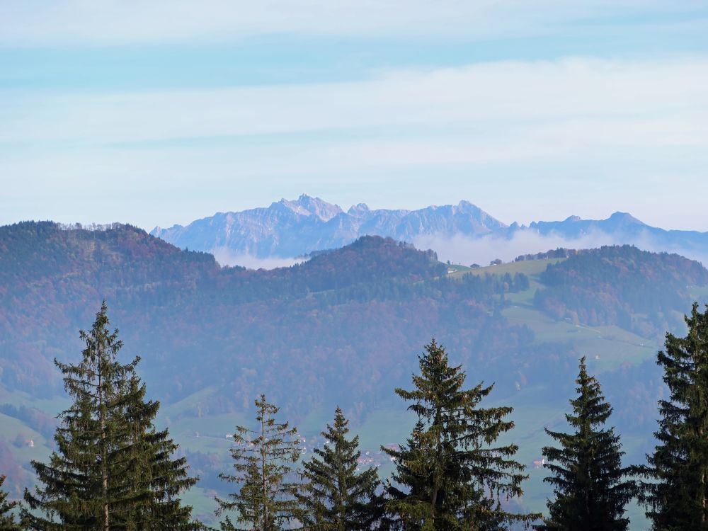 Blick Richtung Säntis