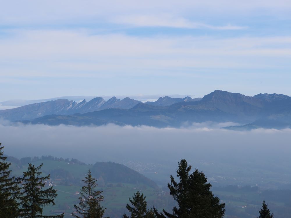 Blick Richtung Churfirsten