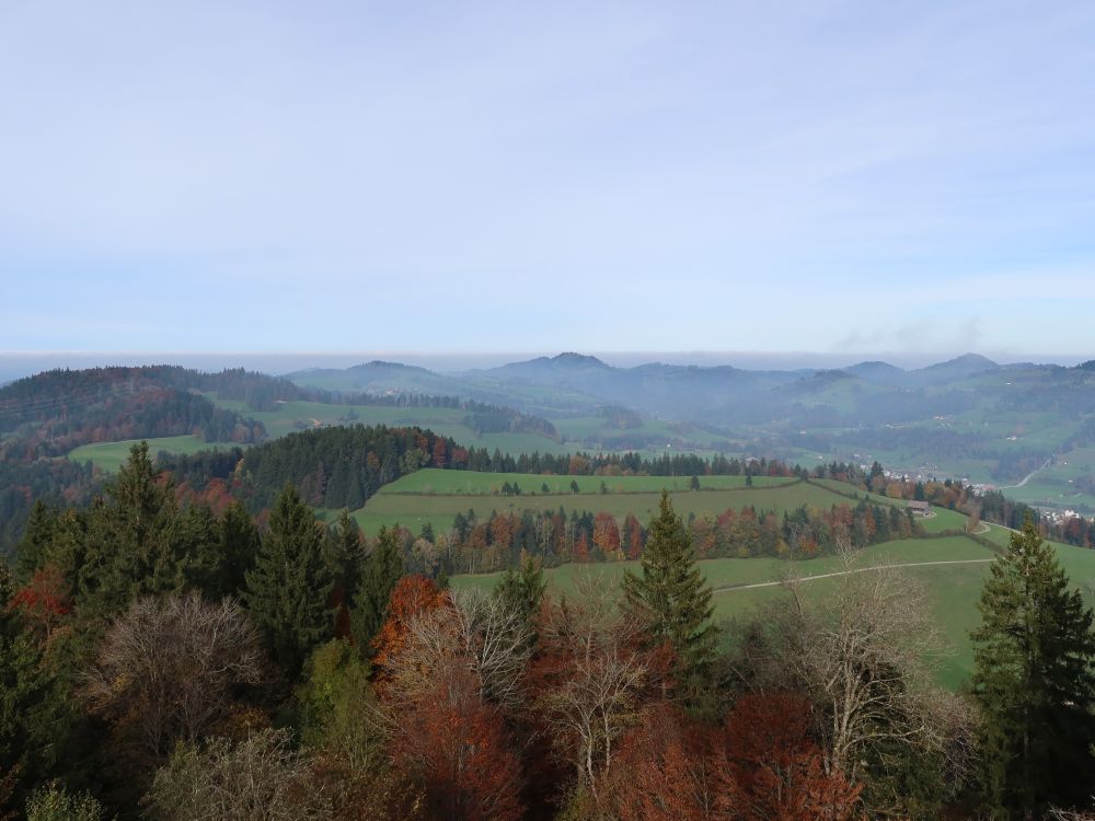 Blick Richtung Hörnli