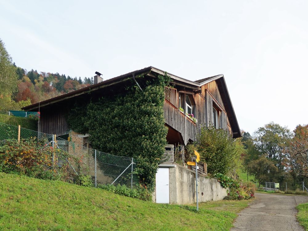 Bauernhaus bei Schwändi