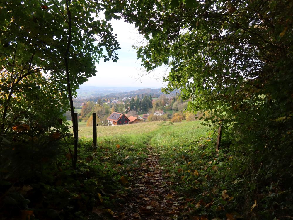 Wiesenpfad bei Gsteig