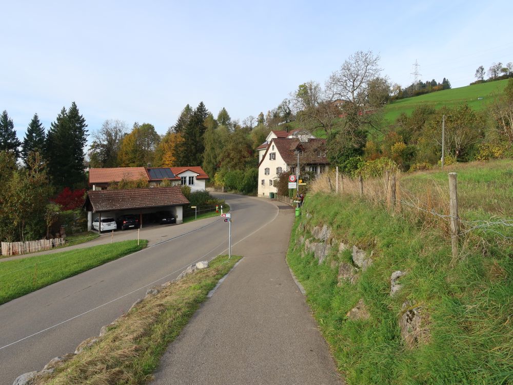 Höhenstrasse bei Neubrunnen