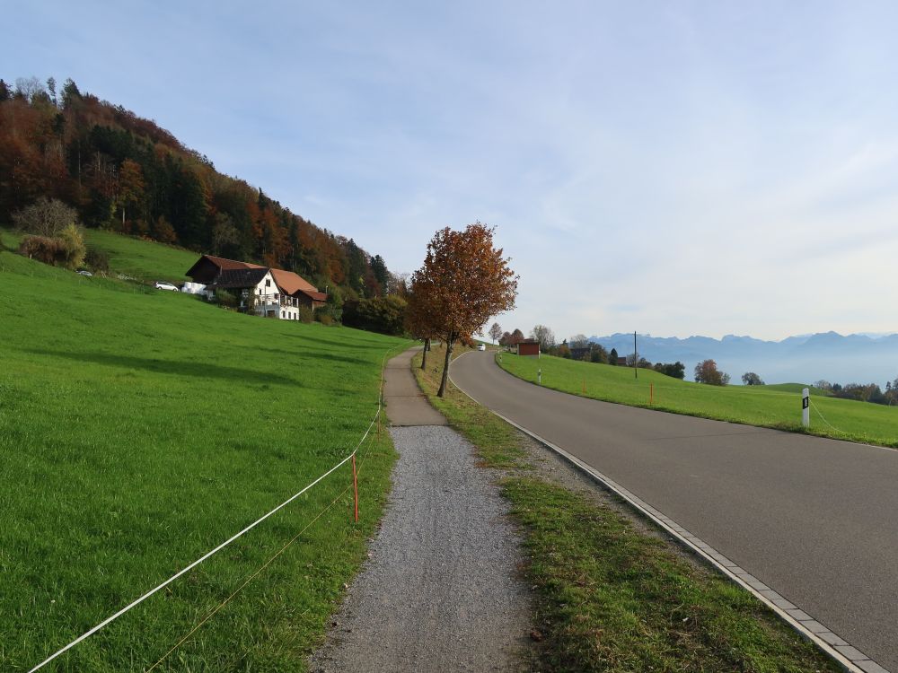 Fussweg neben der Höhenstrasse