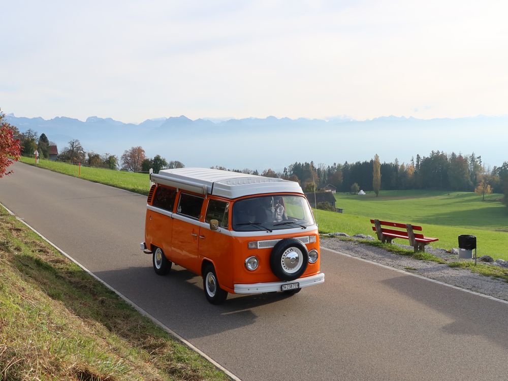 VW-Bus T2