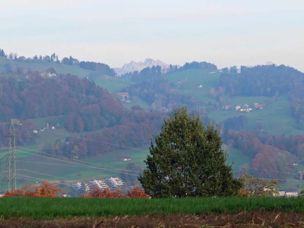 Blick Richtung Säntis