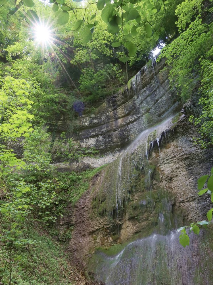 Trimbacher Wasserfall