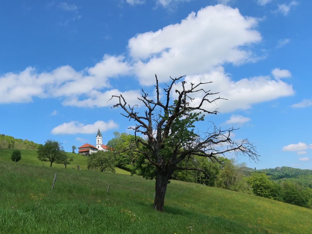 Pfarrkirche St. Katharina