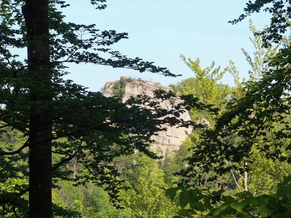 Burgruine Froburg