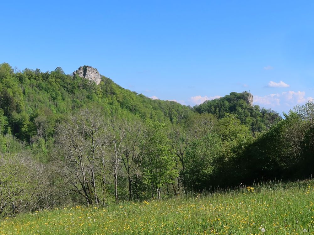 Froburg und Geissflue