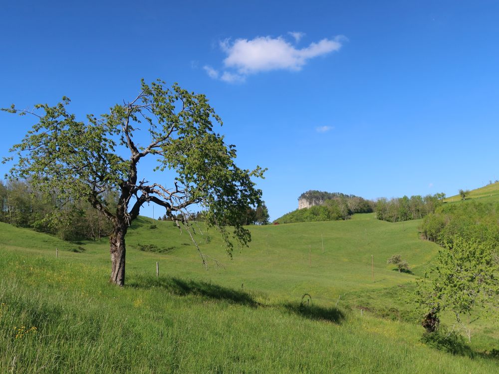 Blick Richtung Flueberg