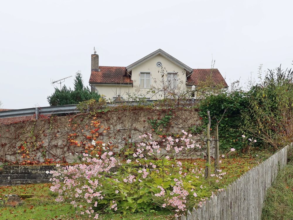 Haus in Lichtensteig