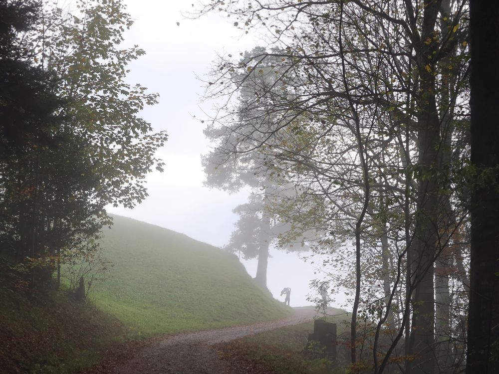 Baum im Nebel