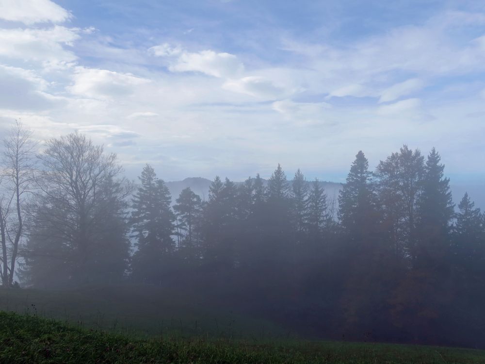 blauer Himmel überm Nebel