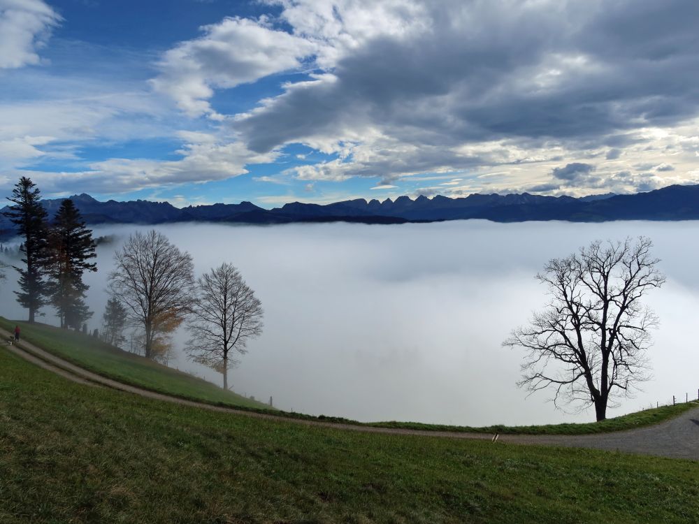 Churfirsten und Nebel hinter Bäumen