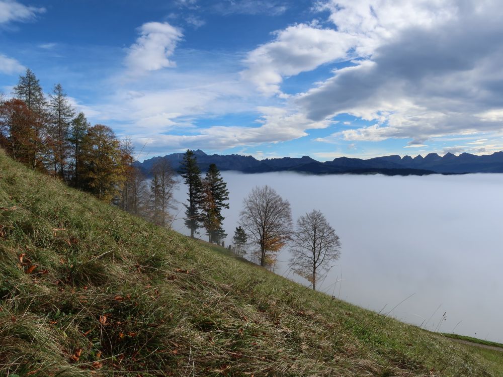 Nebel mit Säntis und Churfirsten