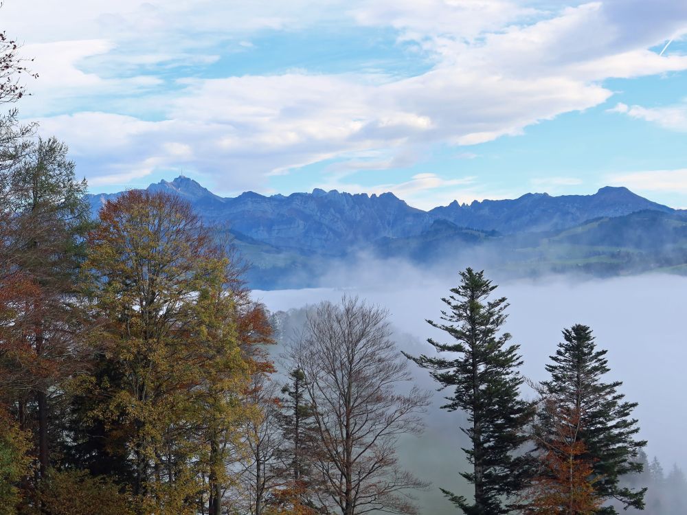 Säntis bis Lütispitz