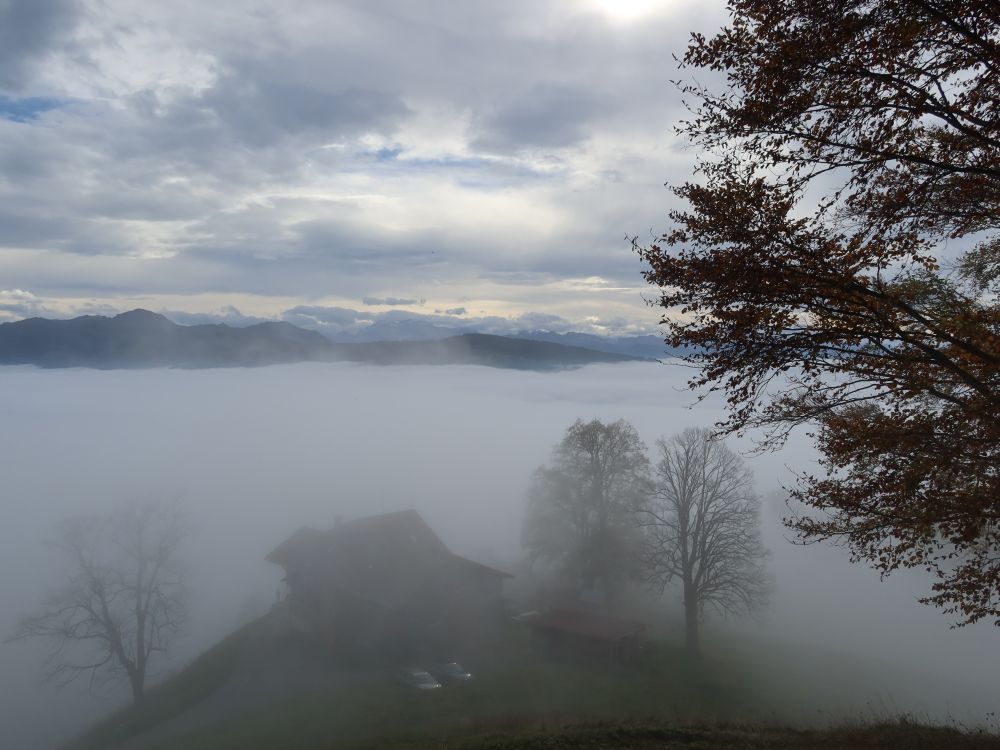 Wirtschaft Köbelisberg im Nebel