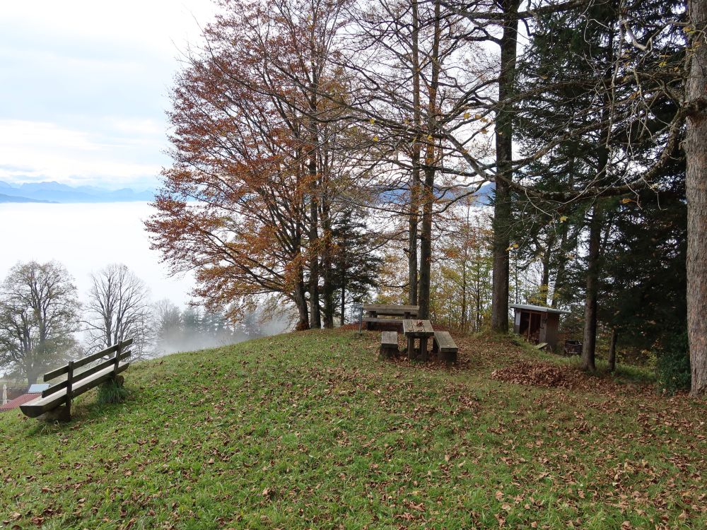 Grillplatz am Köbelisberg